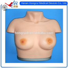 ISO Advanced Inspection and Palpation of Breast simulator